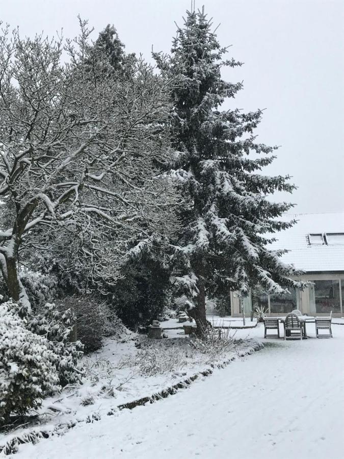 Bed & Breakfast Aquavilla Willebroek